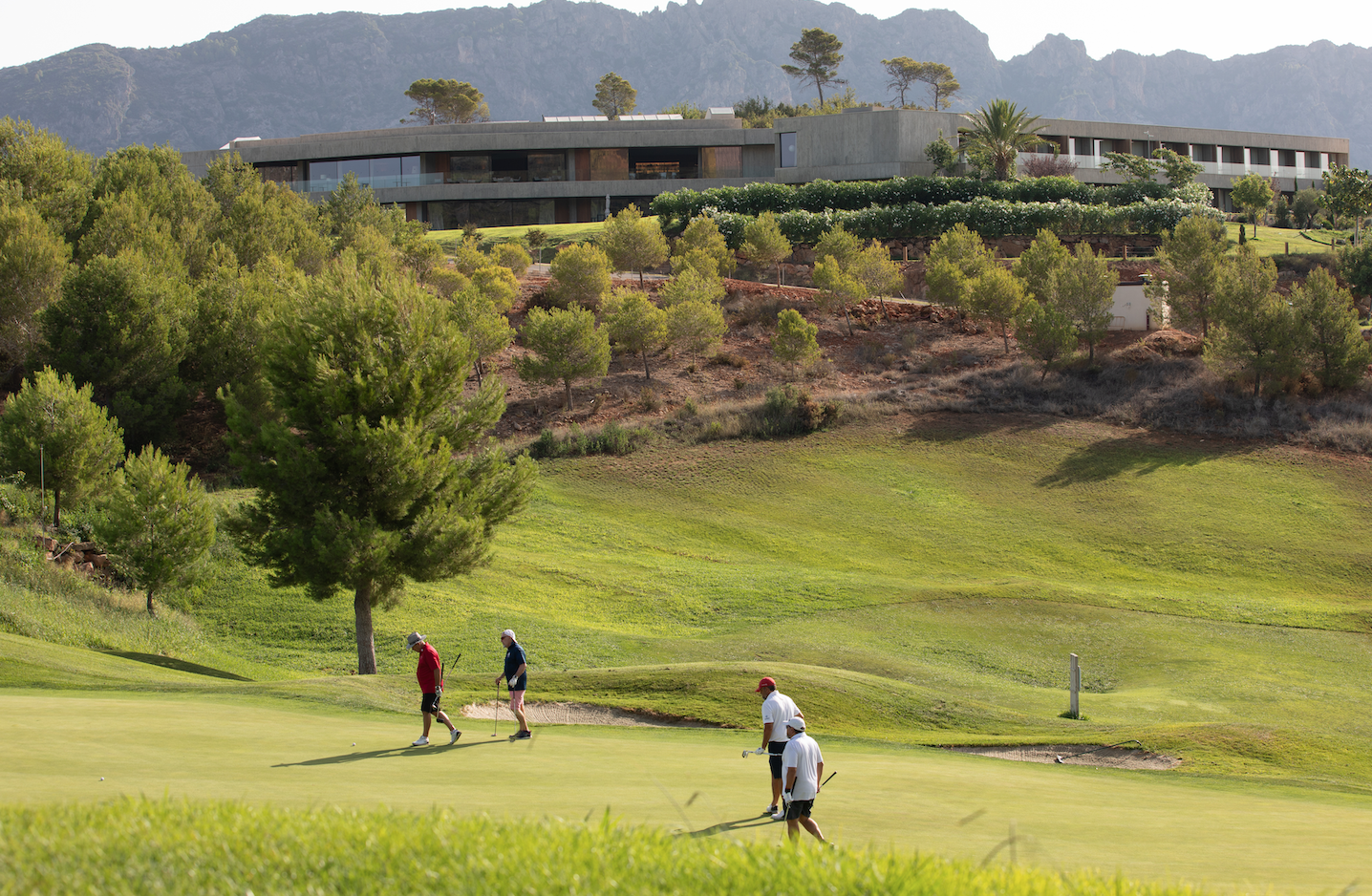 Captura de Pantalla 2024-07-23 a las 11.54.29