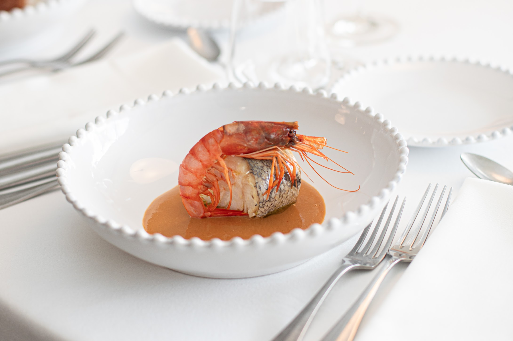 Captura de Pantalla 2024-08-16 a las 20.58.57