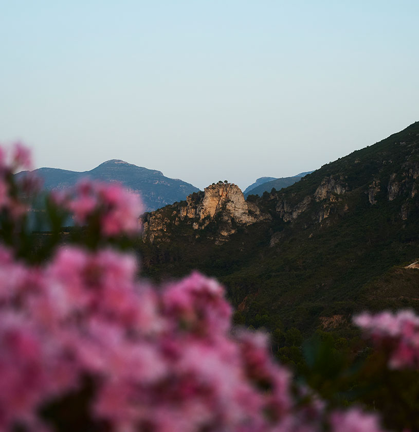 eventos sociales | La Galiana Golf Resort