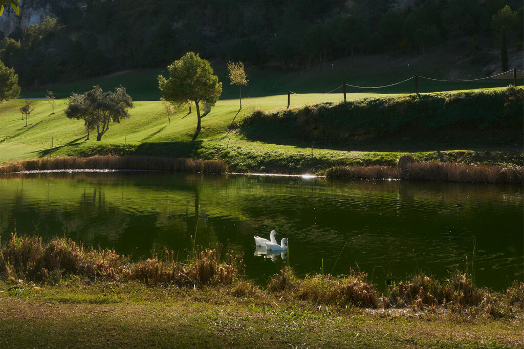 foto estanque patos 1 | La Galiana Golf Resort