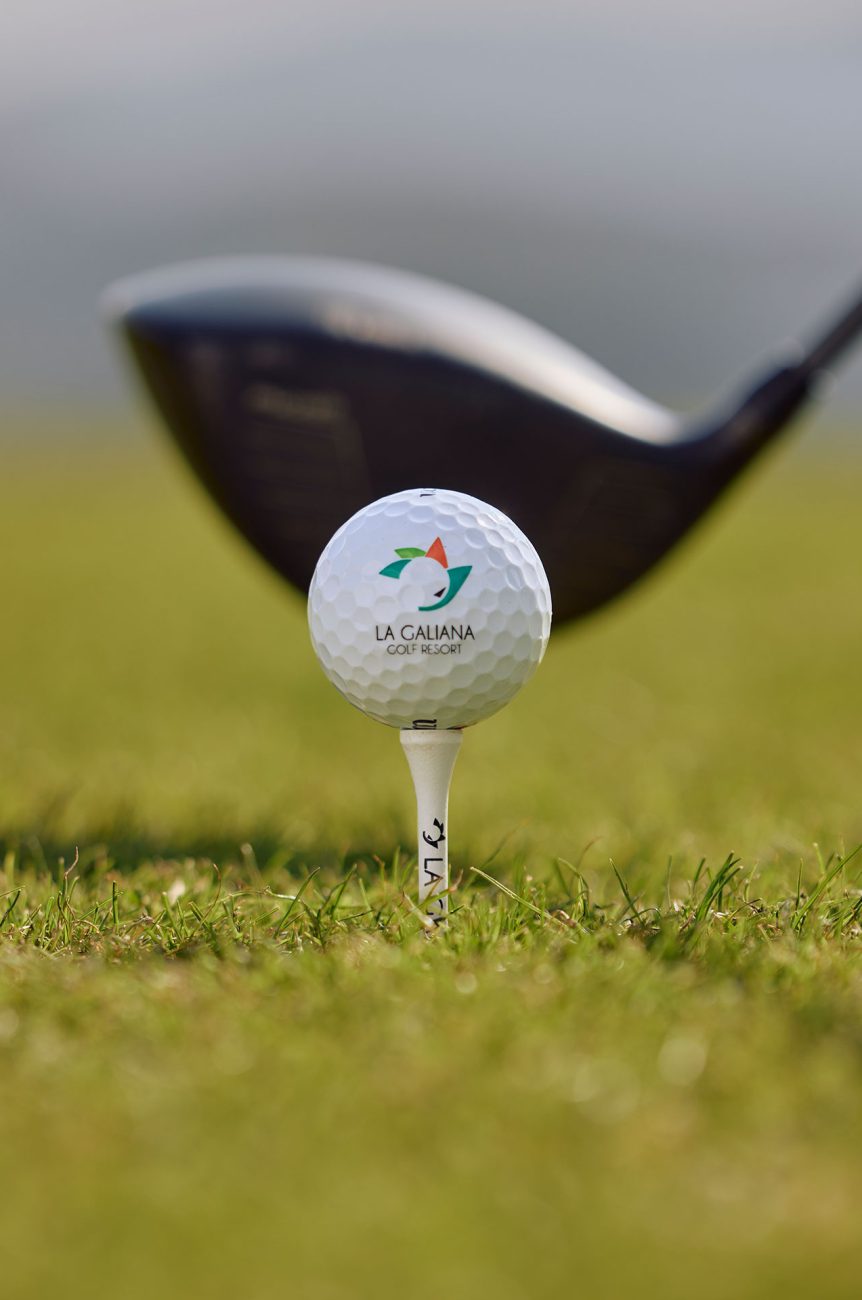 Bola de golf y palo