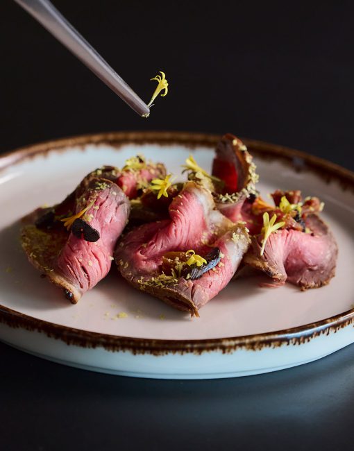 plato-acabando-de-montar